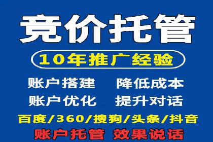 SEM广告投放的技巧与策略——成功案例分享
